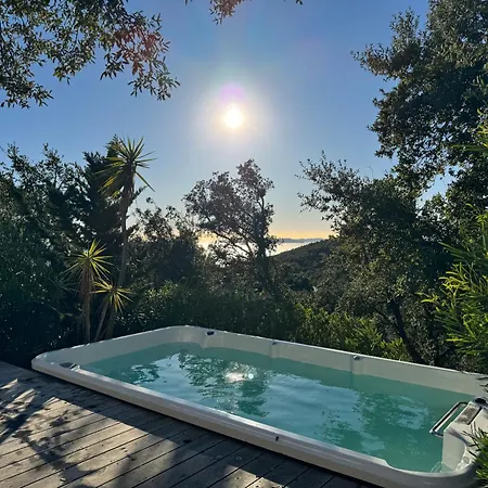 La Nausikaa A Benat *