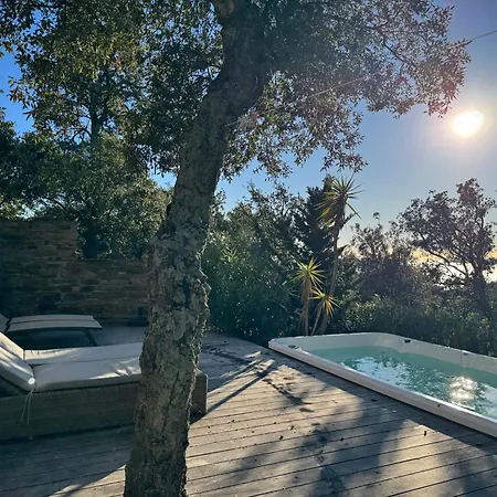 La Nausikaa A Benat Villa *